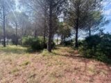Terrain à bâtir à Roquebrune-sur-Argens (83520) 2596614-4529annonce220260805fuTAW.jpeg Maisons France Confort