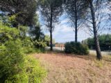 Terrain à bâtir à Roquebrune-sur-Argens (83520) 2596614-4529annonce120260805GiklV.jpeg Maisons France Confort