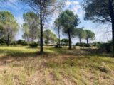 Terrain à bâtir à Roquebrune-sur-Argens (83520) 2596973-4529annonce2202608052PQv7.jpeg Maisons France Confort