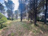Terrain à bâtir à Roquebrune-sur-Argens (83520) 2596973-4529annonce320260805TH570.jpeg Maisons France Confort