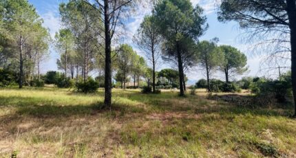Roquebrune-sur-Argens Maison neuve - 2596985-4529annonce2202608052PQv7.jpeg Maisons France Confort