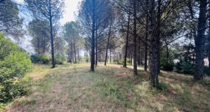 Roquebrune-sur-Argens Maison neuve - 2596998-4529annonce320260805TH570.jpeg Maisons France Confort