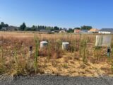 Maison à construire à Cérans-Foulletourte (72330) 2596391-1263annonce120260804gkKb7.jpeg Maisons France Confort
