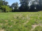 Maison à construire à Gagnac-sur-Garonne (31150) 2597086-5202annonce220260805Z1U4c.jpeg Maisons France Confort