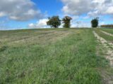 Maison à construire à Podensac (33720) 2608807-11306annonce120260826vL5tT.jpeg Maisons France Confort
