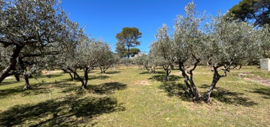Terrain à bâtir à Salernes, Provence-Alpes-Côte d'Azur