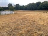 Terrain à bâtir à Glandon (87500) 2593524-11804annonce420260730xEs3Z.jpeg Maisons France Confort