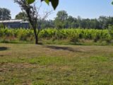 Maison à construire à Saint-André-de-Cubzac (33240) 2552103-11516annonce120260617c4biT.jpeg Maisons France Confort