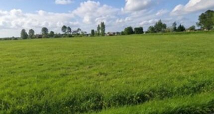 La Lande-de-Fronsac Terrain à bâtir - 2547125-11516annonce120260613il7m6.jpeg Maisons France Confort