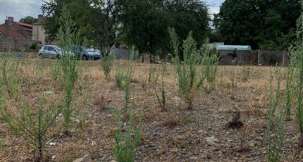 Verrie Maison neuve - 2597154-11896annonce120260806gfNce.jpeg Maisons France Confort