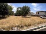 Maison à construire à La Salvetat-Saint-Gilles (31880) 2612143-11845annonce220260831I5K7L.jpeg Maisons France Confort
