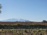 Terrain à bâtir à Perpignan (66000) 2561546-4671annonce120260623KXRGL.jpeg Maisons France Confort