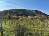 Terrain à bâtir à Cornas (07130) 2614215-6150annonce2202604213rm65.jpeg Maisons France Confort