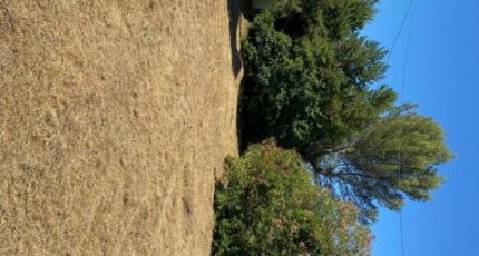 Gardanne Maison neuve - 2616194-annonceTerrain-20260803152406.JPEG Maisons France Confort
