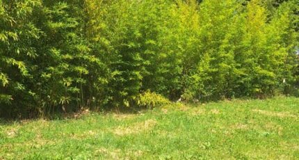 Bérat Maison neuve - 2615521-3575annonce220260902oDHMA.jpeg Maisons France Confort
