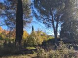 Maison à construire à Tourves (83170) 2617471-10746annonce120260105xKklR.jpeg Maisons France Confort
