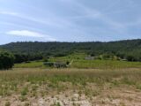 Terrain à bâtir à Salernes (83690) 2618318-9911annonce120260903SqKvS.jpeg Maisons France Confort
