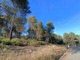 Terrain à bâtir à Salernes (83690) 2618396-9911annonce120260903wpCD8.jpeg Maisons France Confort