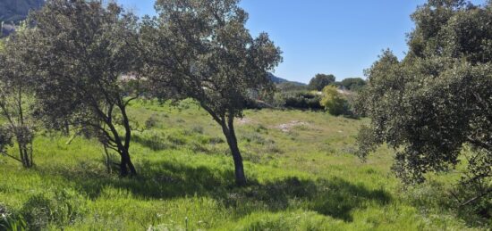 Terrain à bâtir à Roquebrune-sur-Argens, Provence-Alpes-Côte d'Azur