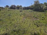 Terrain à bâtir à Roquebrune-sur-Argens (83520) 2619400-11157annonce420260903vB2dy.jpeg Maisons France Confort