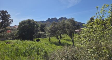 Roquebrune-sur-Argens Maison neuve - 2619401-11157annonce320260903pideW.jpeg Maisons France Confort