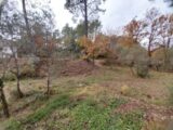 Terrain à bâtir à Salernes (83690) 2619413-11157annonce220260903GGlM0.jpeg Maisons France Confort