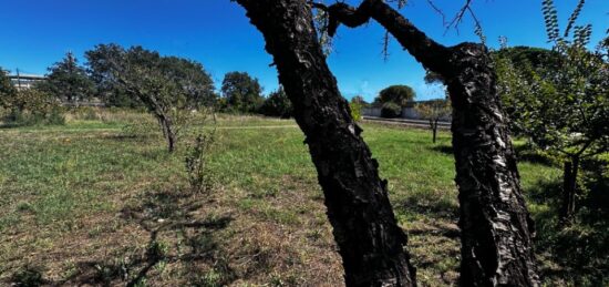 Terrain à bâtir à Puget-sur-Argens, Provence-Alpes-Côte d'Azur