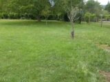 Maison à construire à Saucats (33650) 2618897-11306annonce120260903mOTyk.jpeg Maisons France Confort