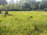 Maison à construire à Nercillac (16200) 2618497-11268annonce120260428l5S9T.jpeg Maisons France Confort