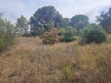 Maison à construire à Fréjus (83600) 2622387-5163annonce220260831xECzv.jpeg Maisons France Confort