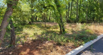 Nans-les-Pins Terrain à bâtir - 2619573-10746annonce120260904wJpIc.jpeg Maisons France Confort