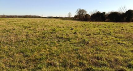 Recques-sur-Course Maison neuve - 2622481-10209annonce120260907L34Nq.jpeg Maisons France Confort