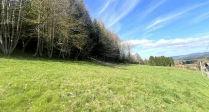Saulxures Maison neuve - 2636388-3214annonce120260916XFuzn.jpeg Maisons France Confort