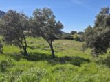 Maison à construire à Roquebrune-sur-Argens (83520) 2638734-11157annonce1202609033532V.jpeg Maisons France Confort