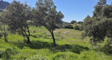 Roquebrune-sur-Argens Maison neuve - 2638734-11157annonce1202609033532V.jpeg Maisons France Confort