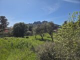 Maison à construire à Roquebrune-sur-Argens (83520) 2638734-11157annonce320260903pideW.jpeg Maisons France Confort