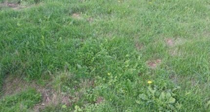 Huppy Maison neuve - 2639396-11934annonce120260918zvvhK.jpeg Maisons France Confort