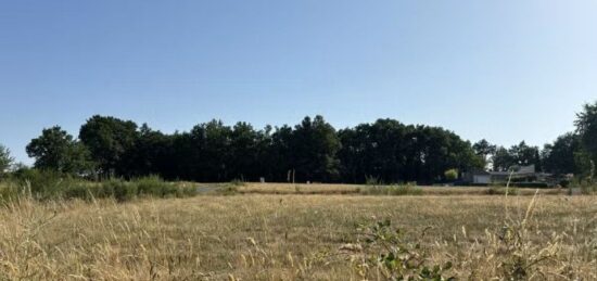 Terrain à bâtir à Belleville-sur-Vie, Pays de la Loire