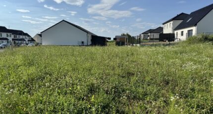Palluel Maison neuve - 2588122-10063annonce120260722Ns4SR.jpeg Maisons France Confort