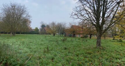 Fretin Maison neuve - 2589043-10063annonce2202607233B34R.jpeg Maisons France Confort