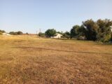 Maison à construire à Frontenac (33760) 2594382-11596annonce220260731HPQHy.jpeg Maisons France Confort