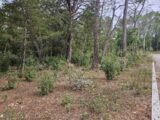 Terrain à bâtir à Tourrettes (83440) 2613607-5163annonce4202609013PFwm.jpeg Maisons France Confort
