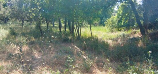 Terrain à bâtir à , Var