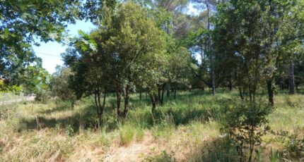 Garéoult Terrain à bâtir - 2657403-5922annonce420261001mJwrA.jpeg Maisons France Confort