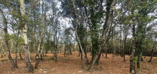 Terrain à bâtir à , Ardèche