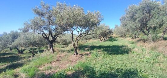 Terrain à bâtir à Barjac, Occitanie