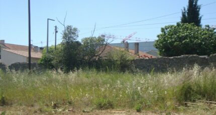 Hyères Maison neuve - 2657731-11080annonce320261001JpuRz.jpeg Maisons France Confort