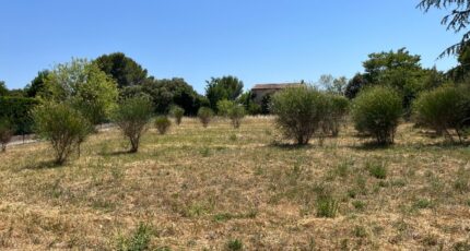 Lorgues Maison neuve - 2575902-11723annonce220260706c1hPz.jpeg Maisons France Confort