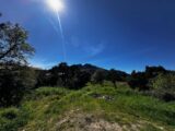 Terrain à bâtir à Roquebrune-sur-Argens (83520) 2613465-3701annonce120260901lGnuc.jpeg Maisons France Confort