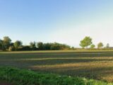 Maison à construire à Halluin (59250) 2657711-6130annonce120261001kZLAJ.jpeg Maisons France Confort